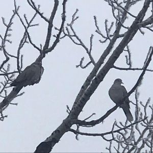 Meet your Posher, Mara